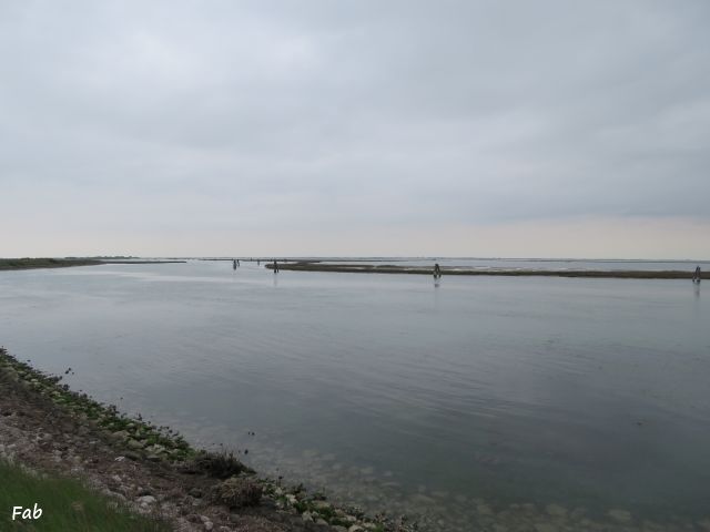 Lio Piccolo, Laguna di Venezia