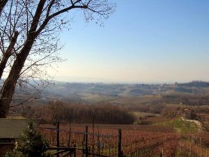 Colline Prosecco