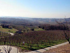 Colline Prosecco