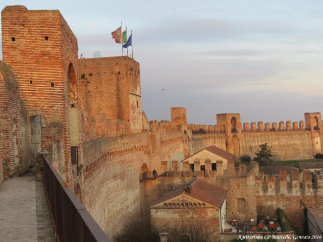 Cittadella