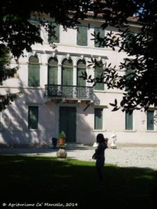 Villa Venier Contarini, Riviera del Brenta