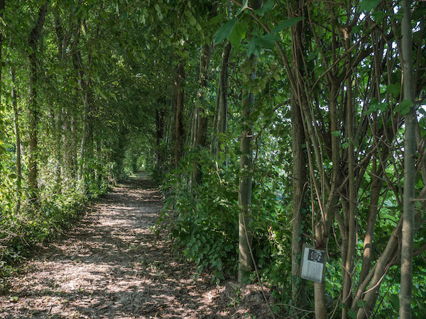 agriturismo ca marcello, riviera del brenta venezia