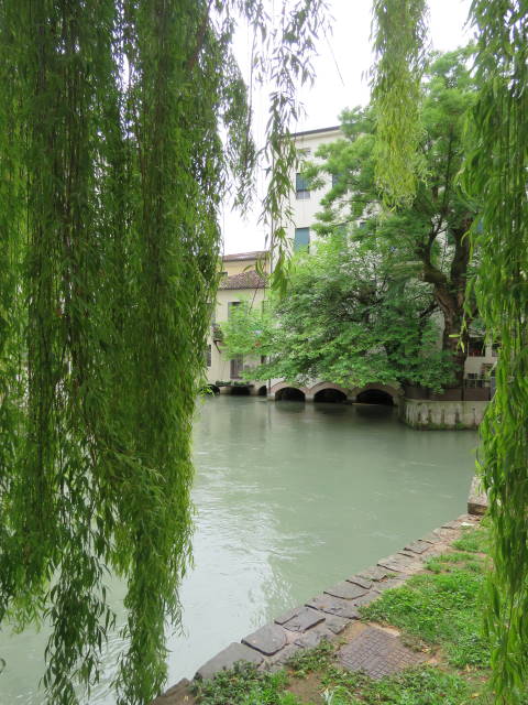 Treviso, lungo il Cagnan, Veneto