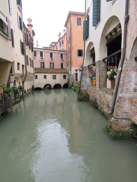 Treviso, Buranelli, Veneto